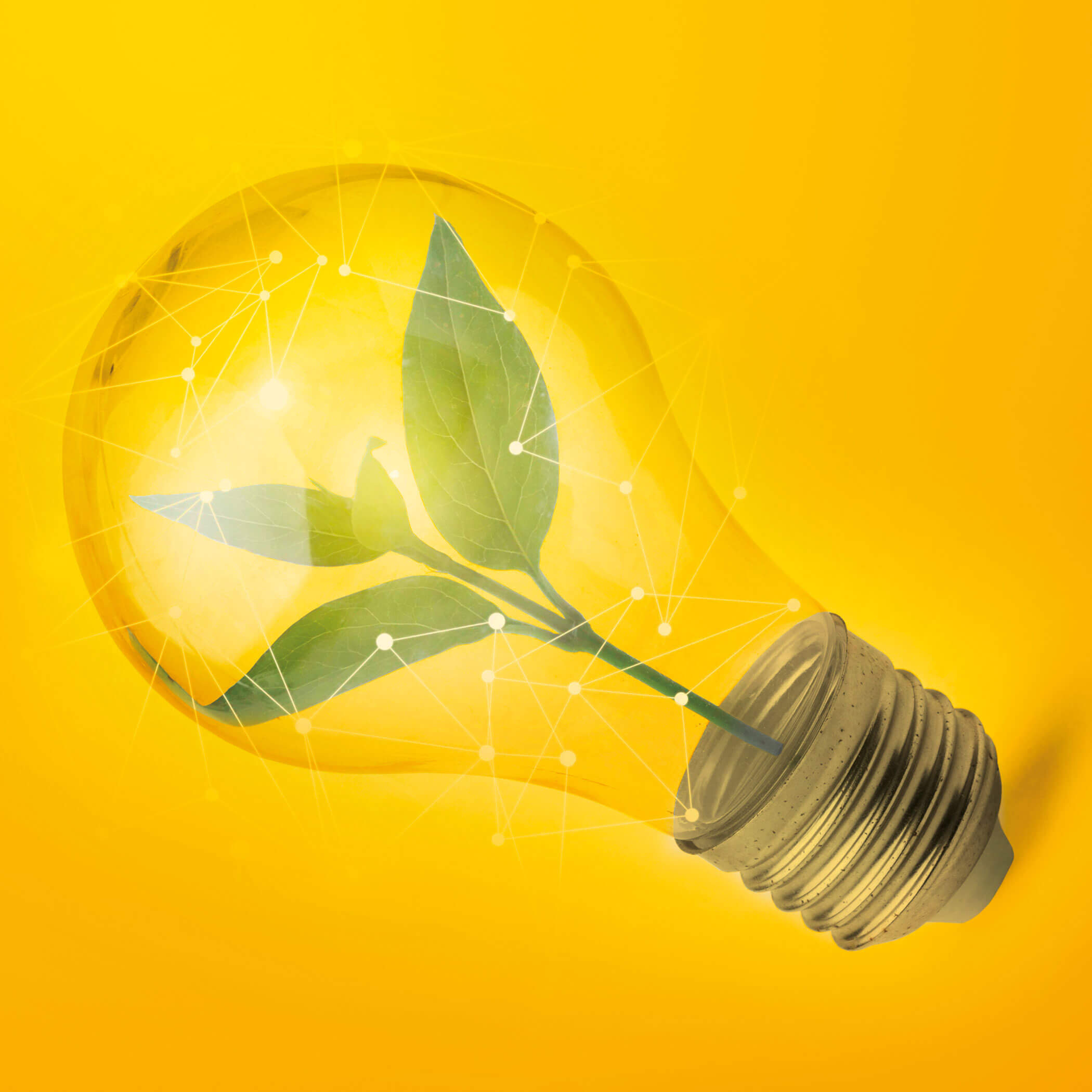 Light bulb with germinating plant